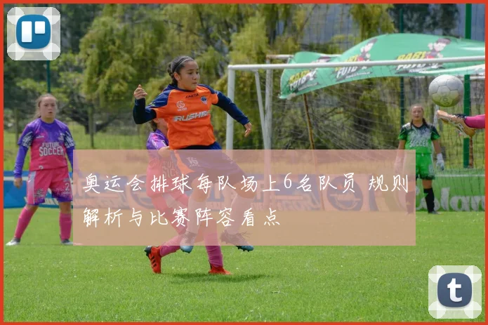 奥运会排球每队场上6名队员 规则解析与比赛阵容看点