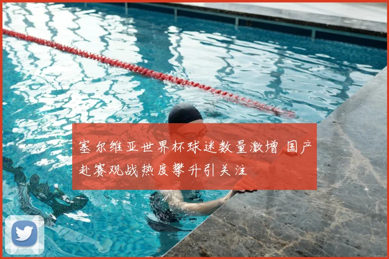 塞尔维亚世界杯球迷数量激增 国产赴赛观战热度攀升引关注