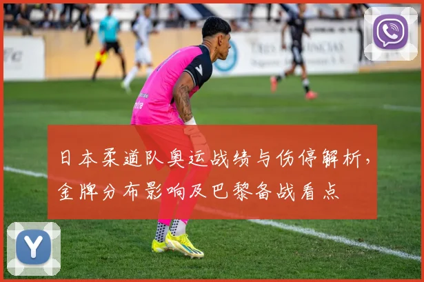 日本柔道队奥运战绩与伤停解析,金牌分布影响及巴黎备战看点